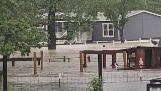 Animal Rescue and Forever Home Flooding in Texas