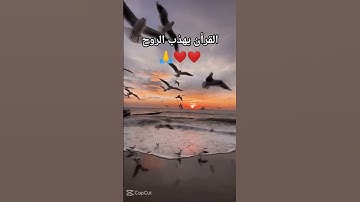 اكتب شئ تؤجر علية 🙏 #القارئ_طارق_محمد #آيات