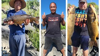 Fishing carp at San Luis Reservoir small lake