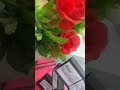 Pop up card ideas|| Introduction Page|| First page|| #artintegratedproject #projectfile #trending