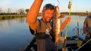 This REMOTE River Has TONS Of Flathead Catfish!
