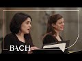 Bach  mass in b minor bwv 232  van veldhoven  netherlands bach society