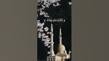 #قرآن #تلاوات #quran القاريء #المنشاوي