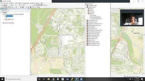 ArcGIS summary statistics default