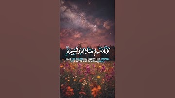 ﴿أَلَمْ تَرَ أَنَّ اللَّهَ يُسَبِّحُ لَهُ مَن فِي السَّمَاوَاتِ وَالْأَرْضِ﴾.||سورة النور||