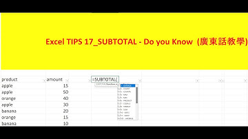 Excel TIPS 17 SUBTOTAL   Do you Know  廣東話教學