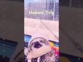 マロロ&グーグー旅の思い出 #箱根 #Hakone #sloth #ナマケ旅行