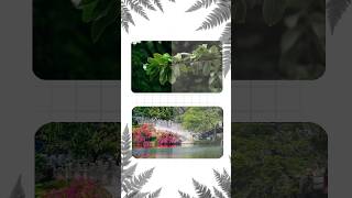 capcut pro premium filters #capcut #shorts