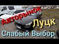 Авторынок Луцк.. Слабый Выбор😟