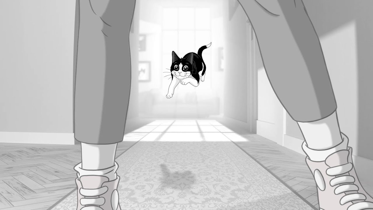 It's Great To Be A Cat Laundry Day YouTube