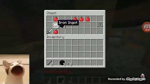 Pop Cat Speedruns Minecraft