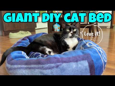 How To Make a GIANT DIY Cat Bed Out Of A Blanket