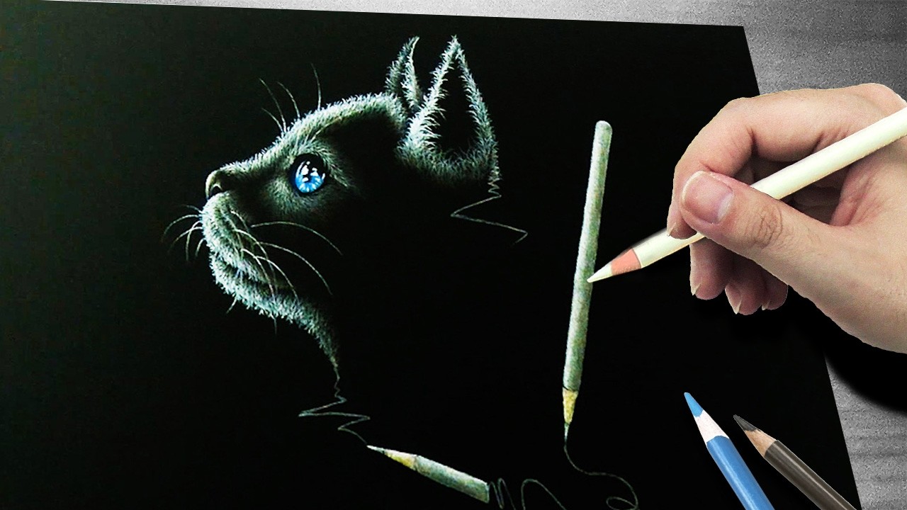 イラスト｜猫と色鉛筆｜Drawing - YouTube