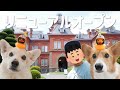 コーギーと暮らす小学4年生の夏休み【赤レンガ庁舎編】