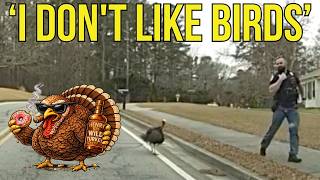 Angry Turkey Chases Cobb Officer |Meet Henry|
