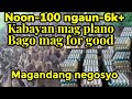 100 head noon - ngaun 6k+ head paano ko naparimi ang aking itik / itik farming / itikan @Troy Tv101