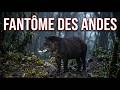 Le Tapir des montagnes : Pourquoi ce géant craint-il la lune ?