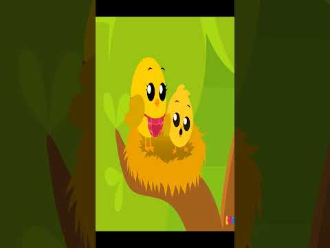 ذهب الليل طلع الفجر والعصفور صوصو 