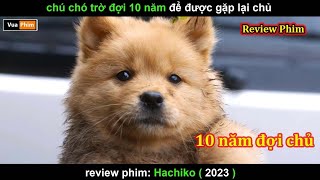 Chú chó Chờ đợi 10 năm để được Gặp lại Chủ  Review phim Hachiko 2023