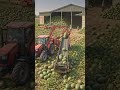 🍉 लाखों तरबूजों की खेती | खेत में बिछी हरियाली का कमाल! 😲🌱