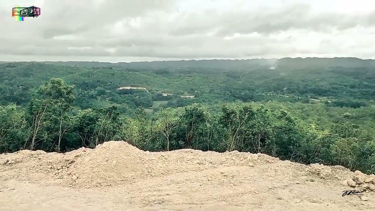 TAURANG TOPS THE OVERLOOKING PLACE ❤️