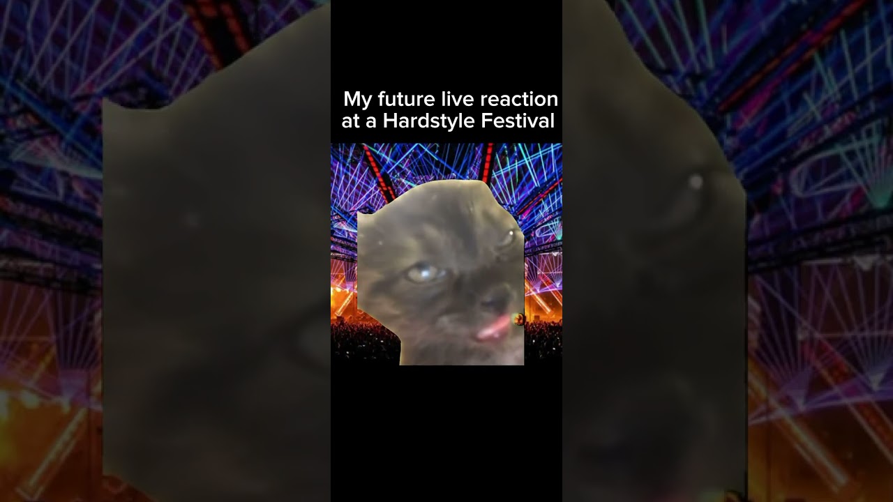 My Future Live Reaction at a Hardstyle Festival  