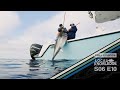 Bluefin Dreamin S06 E10 San Diego Offshore