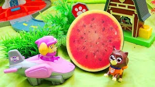 Щенячий Патруль - Щенки Спасают Драгоценности. Paw Patrol.