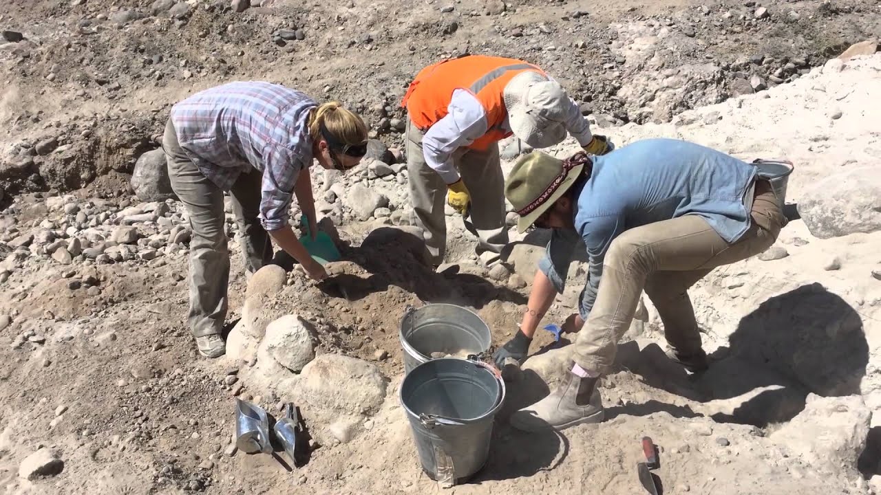 ROM Scientist: Justin Jennings