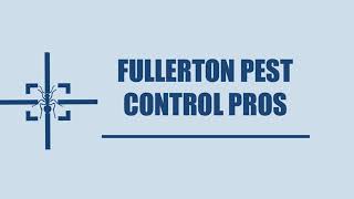 Fullerton Pest Control Pros - Spider Control Service in Fullerton CA