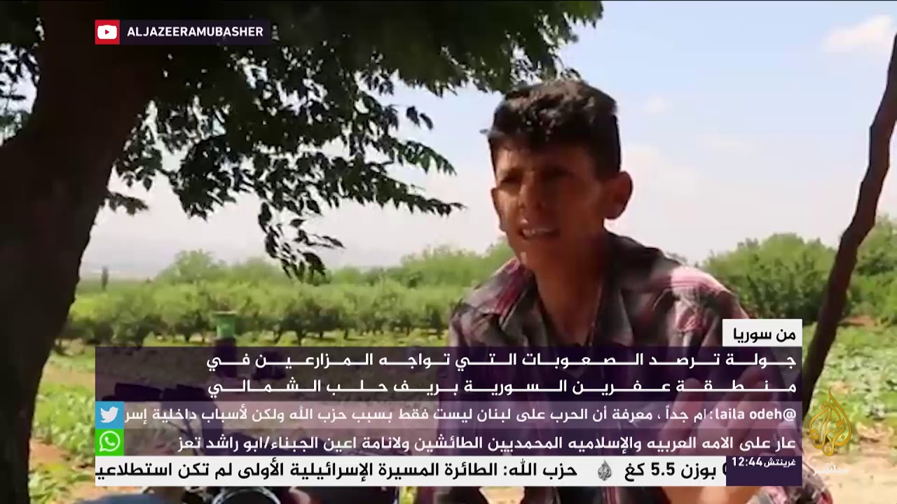من سوريا.. الصعوبات التي تواجه المزارعين في منطقة عفرين السورية