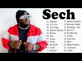 Mix Sech | Lo Mejor de Sech - Sus Más Grandes Éxitos 2021