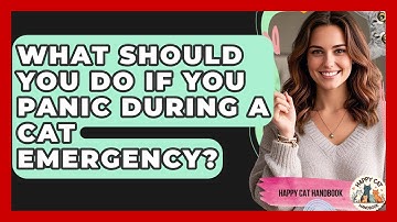 What Should You Do If You Panic During A Cat Emergency? - Happy Cat Handbook