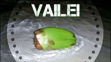 EXAUTIK MIXER X MI AMOR - REMIX FTNS 2017