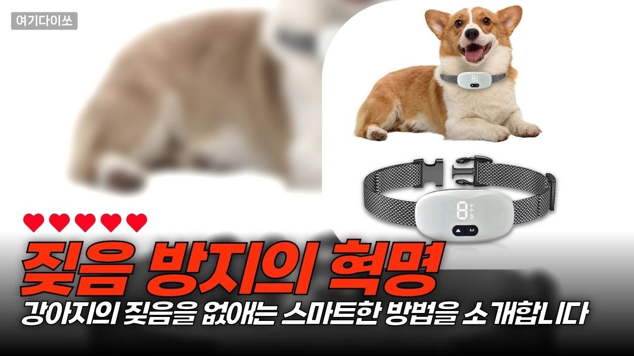 강아지 짖음? 이 목걸이 하나로 끝! 완벽 방지템 리뷰