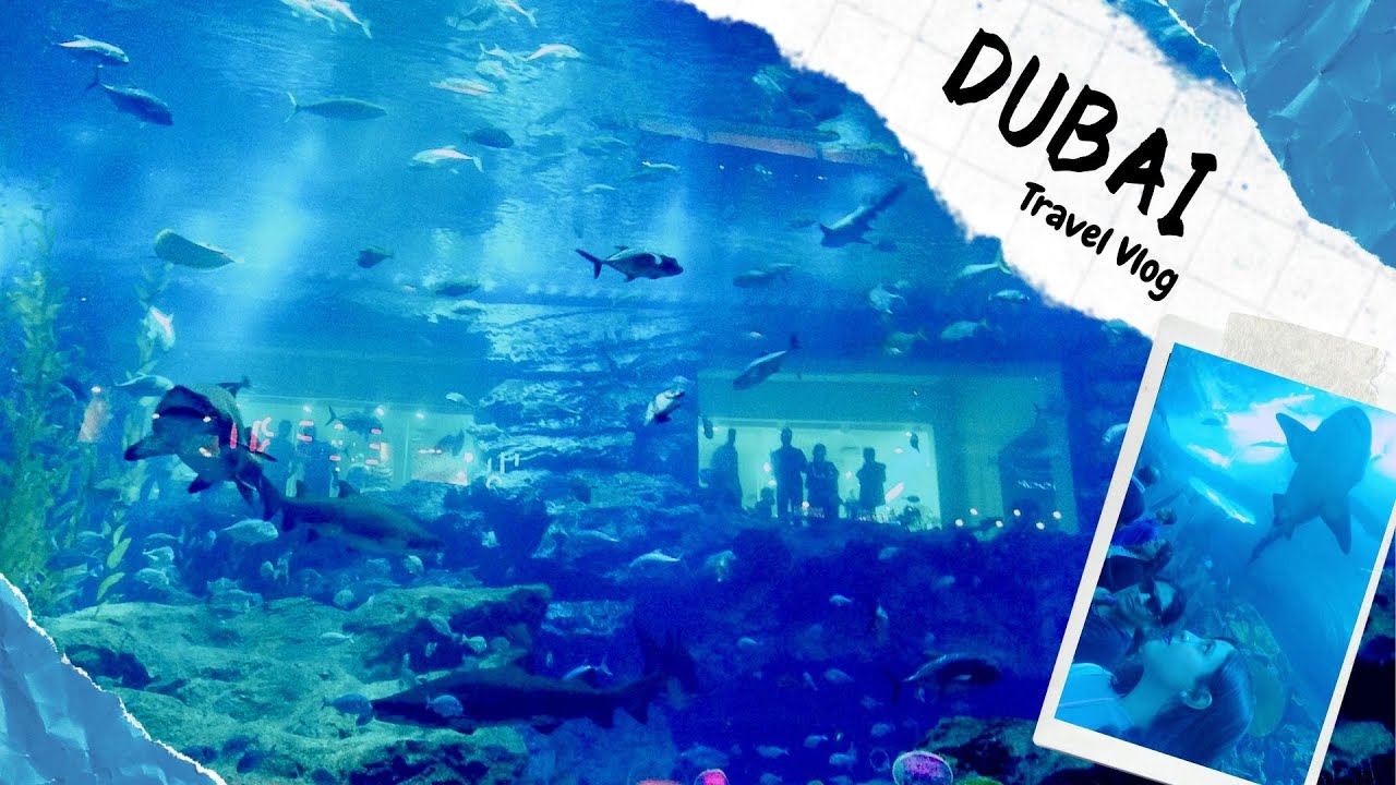 Dubai travel vlog Part 2 Dubai Aquarium Glass Bottom Boat Under