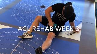 Week 3 beginner ACL reconstruction rehabilitation exercises
