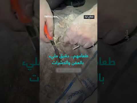 عائلة فلسطينية تنقي طحينًا ملوثًا بالعفن والحشرات