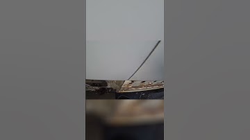 How to Keep Your Car from Rusting: Expert Tips and Tricks