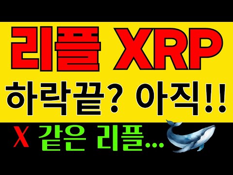 리플 XRP 엑스알피 하락 끝난거야? 아직 좀더 지켜봐!!  솔레이어 하이파이 캣인어독스월드 도지코인 월러스 세이프 하이브코인