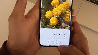 How To Resize Photos on iPhone 17 Pro Max Without Third-Party Apps screenshot 3