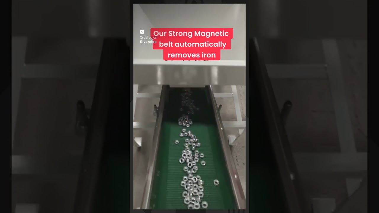 Magnetic conveyor belt