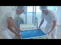 Ref:3FOIEQw0S64 La fromagerie d'eparcy