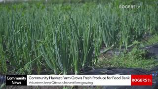 Community News Ottawa: Community Harvest Farm Grows Fresh Produce for Food Bank