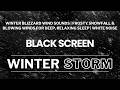 Winter Blizzard Wind Sounds | Frosty Snowfall &amp; Blowing Winds for Deep, Relaxing Sleep | White Noise