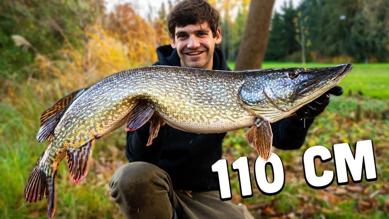 OBŘÍ štika z místa, kde jsme ji nečekali! Větší rybu v Česku nechytil