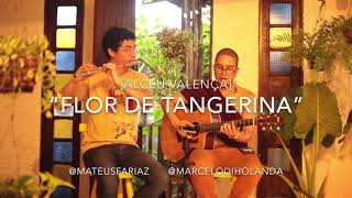 Video thumbnail of "Flor de tangerina - Alceu Valença"