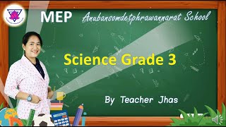 Science Grade 3 "The Science Process Skill" Teacher Jhas