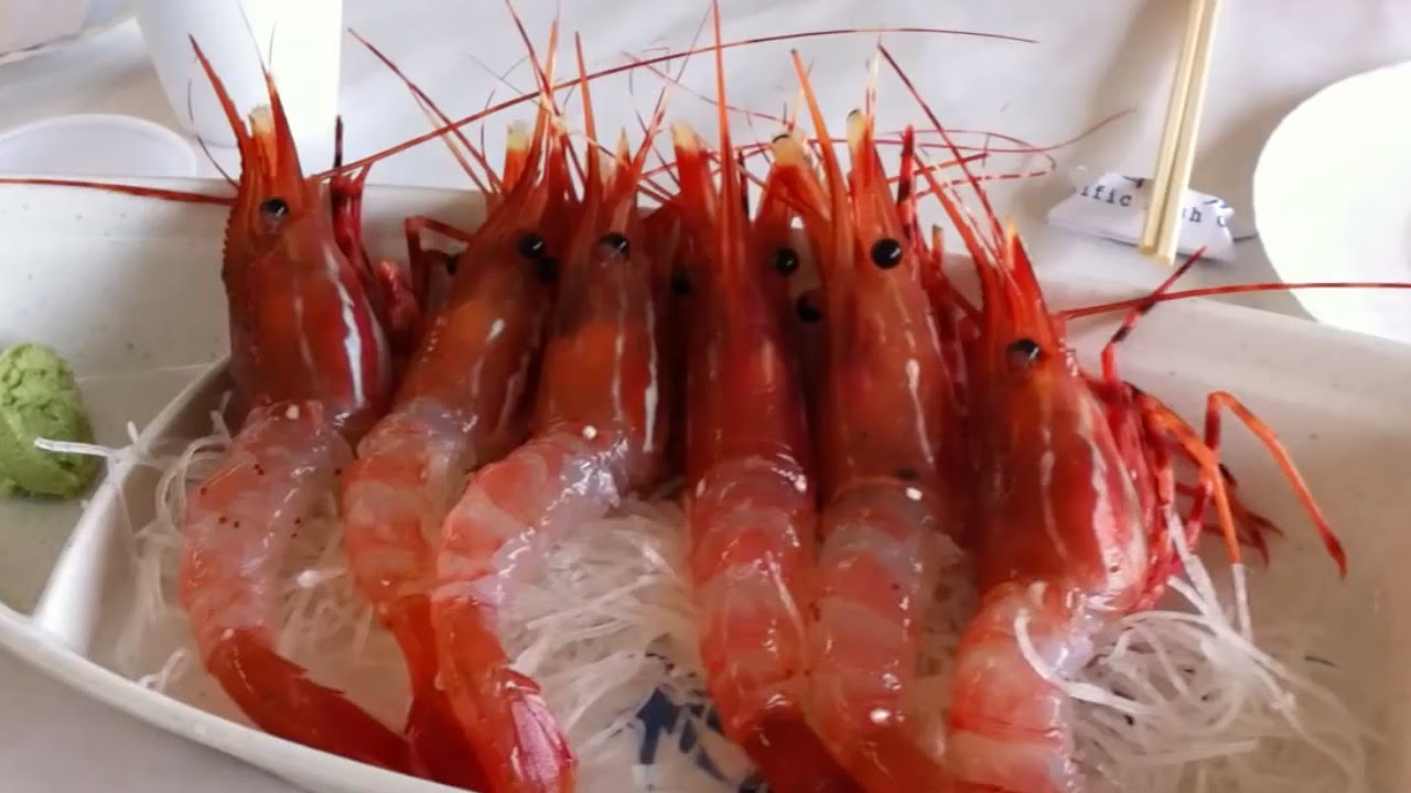 Animals, Eaten ALIVE (Graphic) YouTube