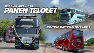 THE FUN OF TELOLET TABOLA BALE😍The Spots Are Crazy🥵Hunting Hundreds of Celebrity Buses for the Re...